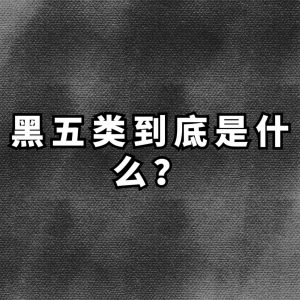 什么是黑五类？拆解一下暴利赚钱的 黑五类具体产品赛道，黑五类赛道产品拆解-知赚网