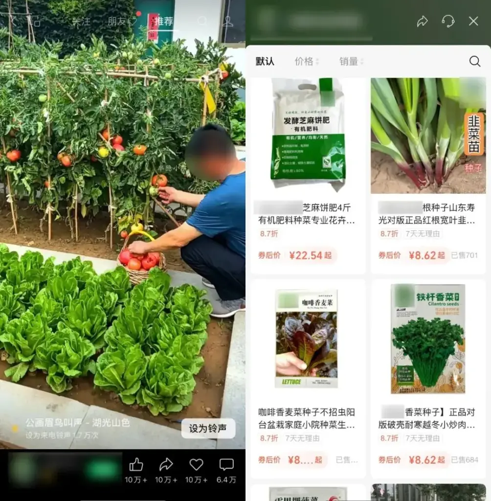 图片[39]-视频号-知赚网