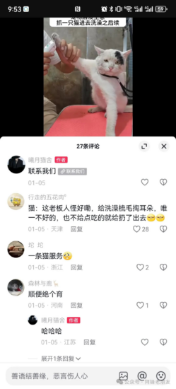 揭秘小猫咪活体抖音打粉项目，高客单价，每单利润 5000+ 认真坚持落地实操 轻松月入过万（篇一）-知赚网