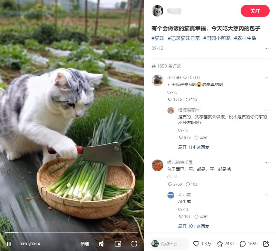 图片[1]-小红书上2个月涨粉2万+ 的猫咪做饭视频  五分钟教会你-知赚网