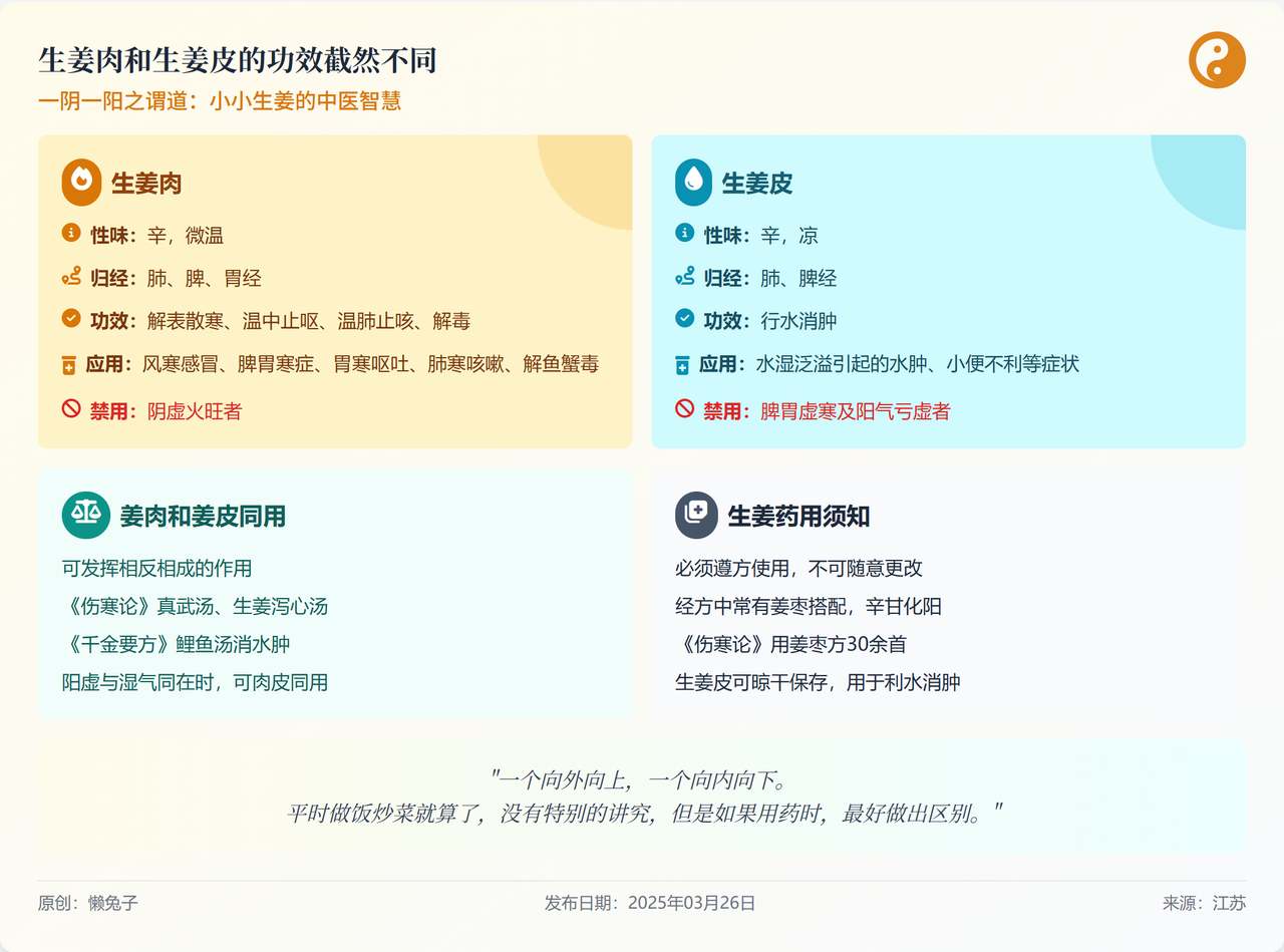 图片[3]-“魔法提示词”，让你一键生成可在线访问的设计师级网页-知赚网