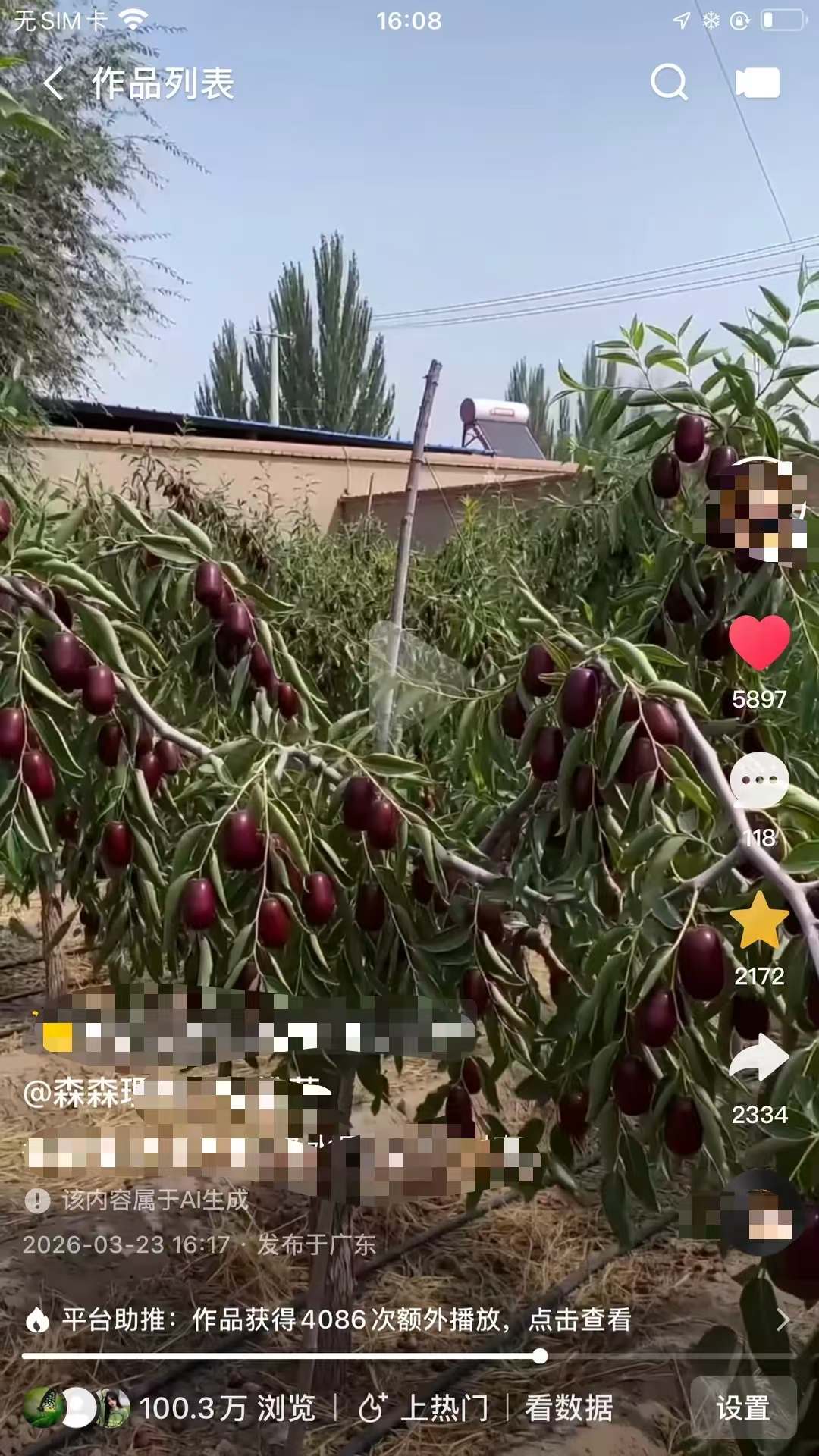 视频号AI树苗种子带货，超适合新人接触AI落地变现项目-知赚网